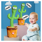 Talking cactus repeats your voice