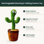 Dancing cactus toy features infographic